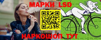 амф Шахты