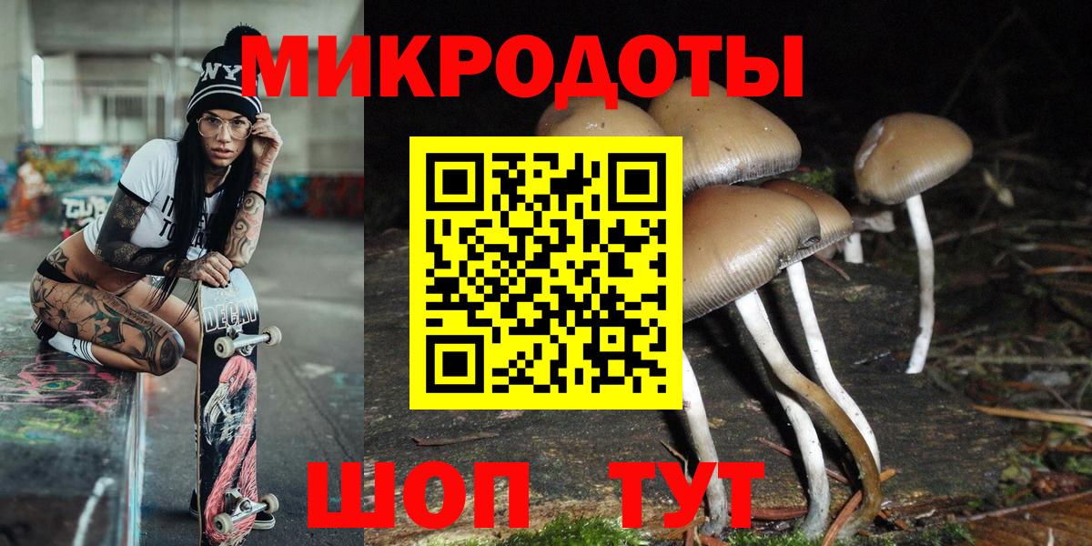 Псилоцибиновые грибы мицелий Великий Устюг
