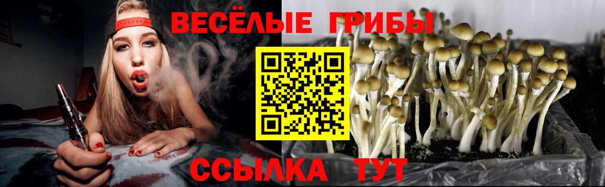 Галлюциногенные грибы GOLDEN TEACHER  Галлюциногенные грибы прущие грибы  Великий Устюг  Вход с VPN 